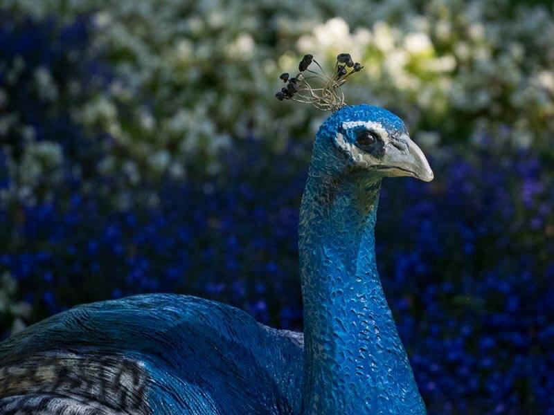 Weltvogelpark Walsrode