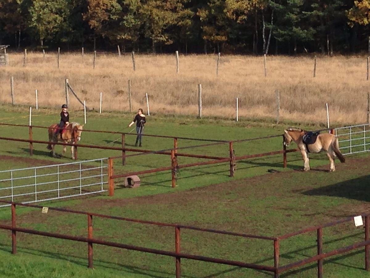 Ponyreiten im Schröderhof