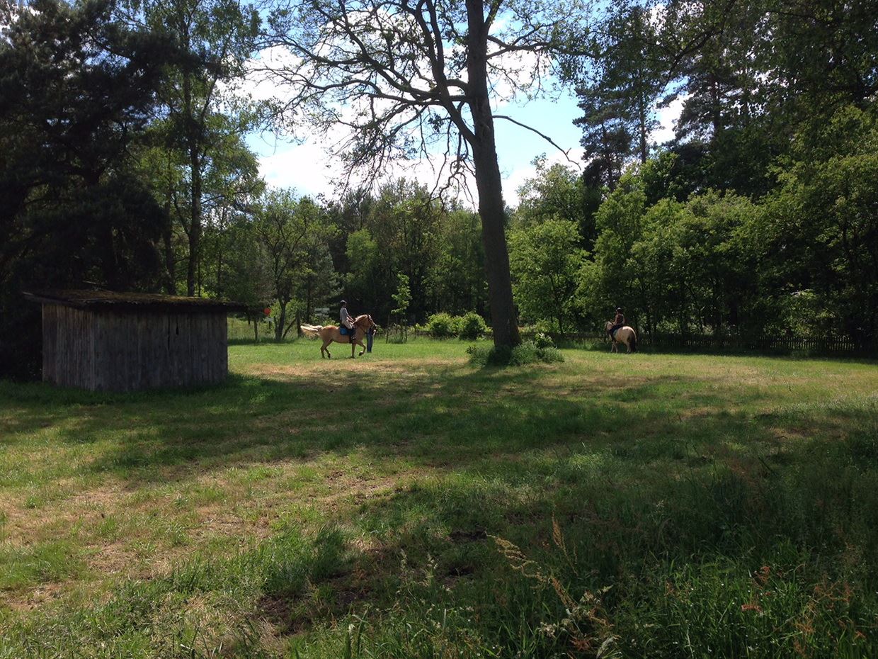 Ponyreiten im Schröderhof