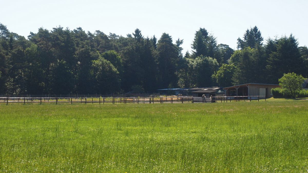 Ponyreiten im Schröderhof