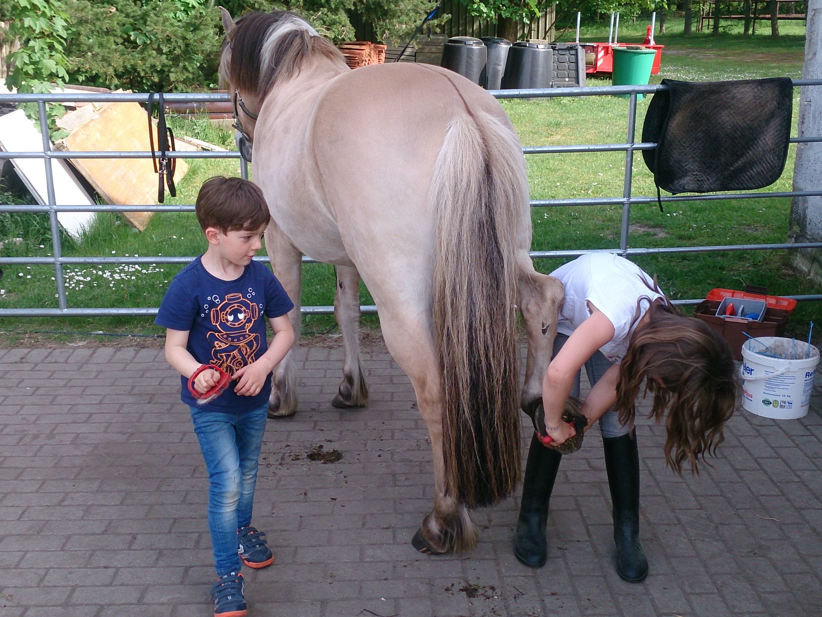 Ponyreiten im Schröderhof