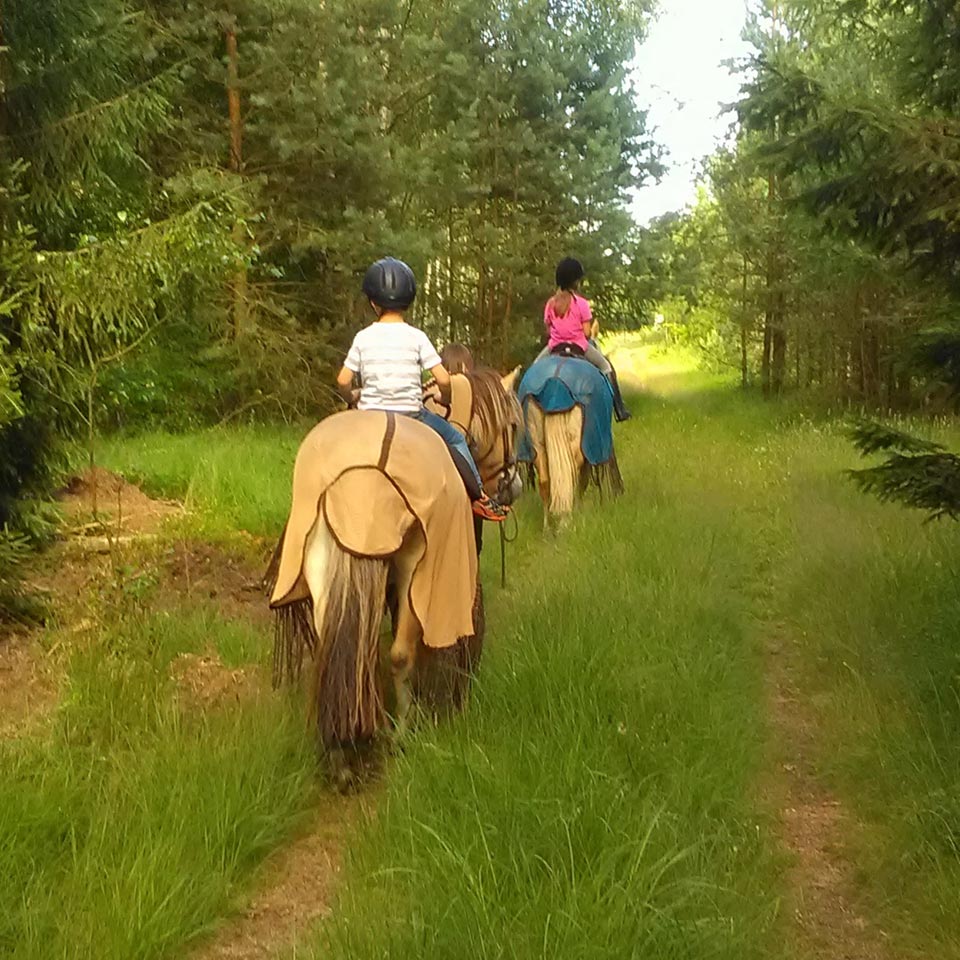 Ponyreiten im Schröderhof